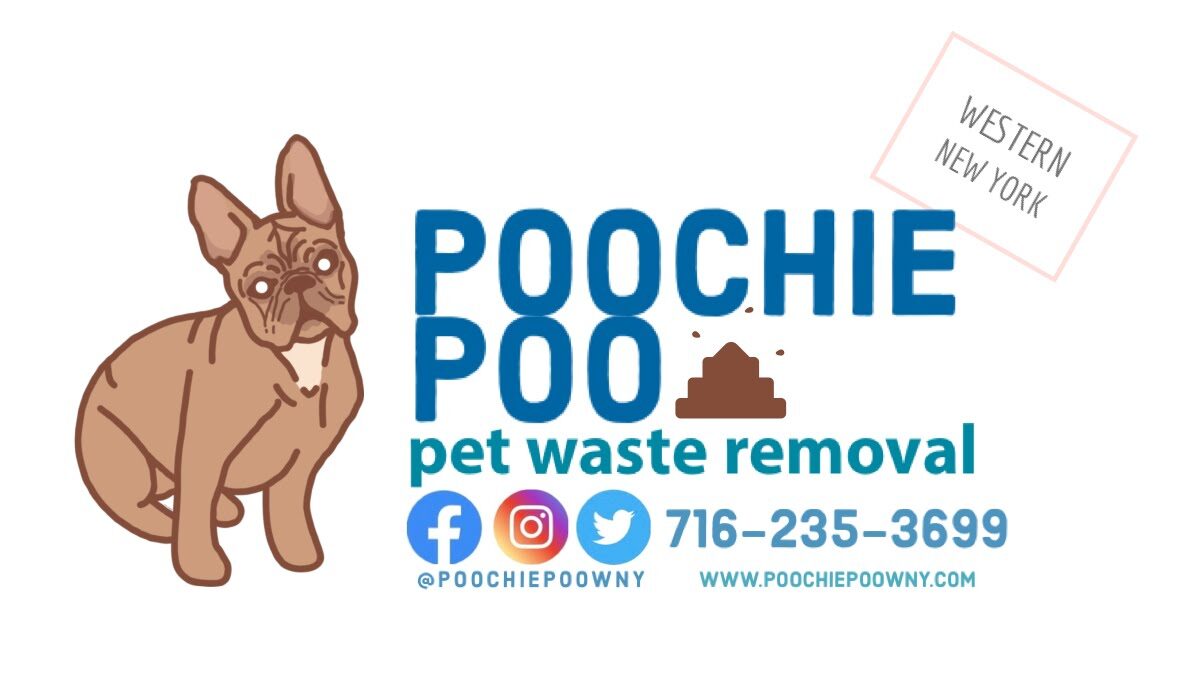 pooche poo pet waste removal ny